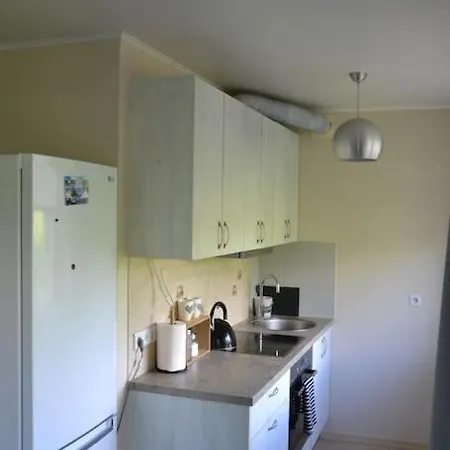 Riverside Riia Mnt Apartment
